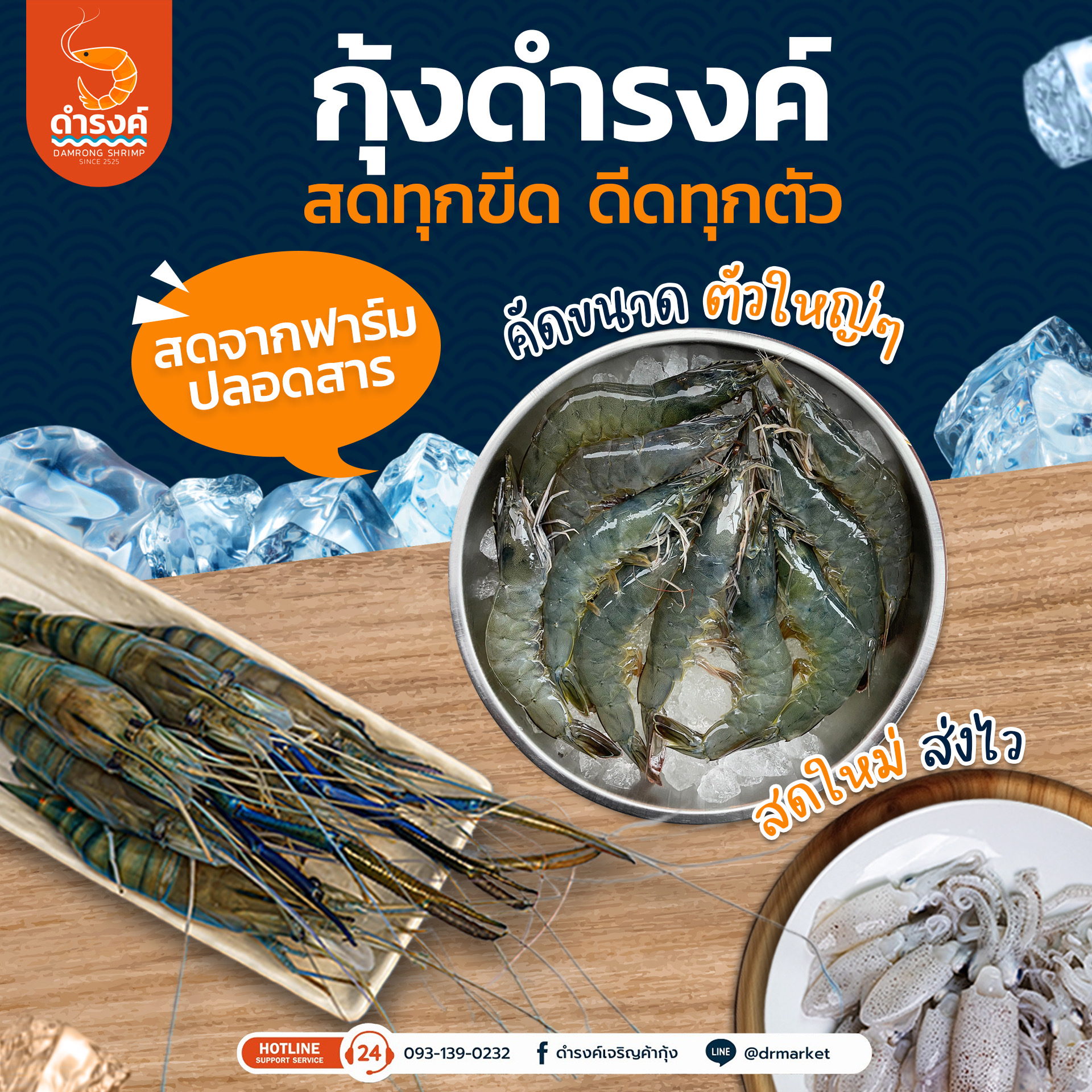 กุ้งดำรงค์ กุ้งสดทุกขีด กุ้งขาวดีดทุกตัว ปลาหมึกสด