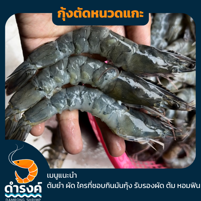 เมนูกุ้งและวิธีการแกะกุ้งสดกุ้งตัดหนวดแกะ