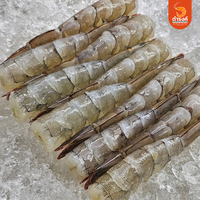 กุ้งขาวยืด (Nobashi Shrimp)