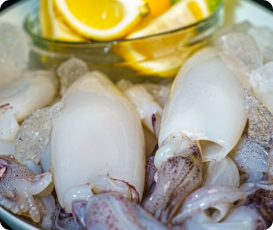 กุ้งสดราคาส่ง