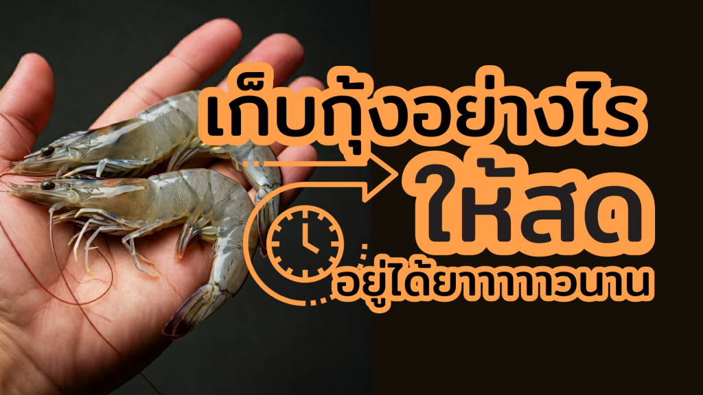 วิธีเก็บกุ้ง