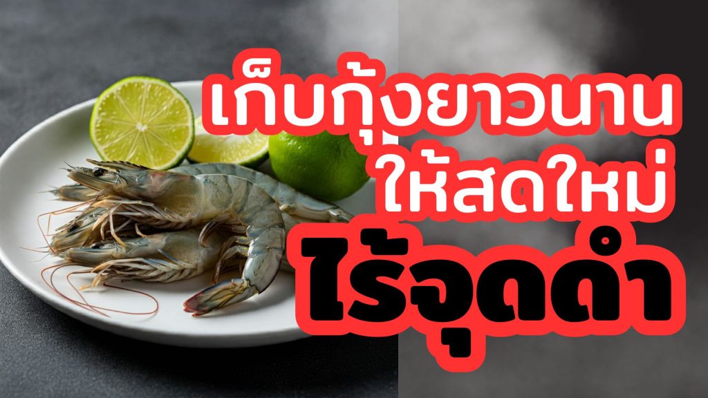 วิธีเก็บกุ้งสด