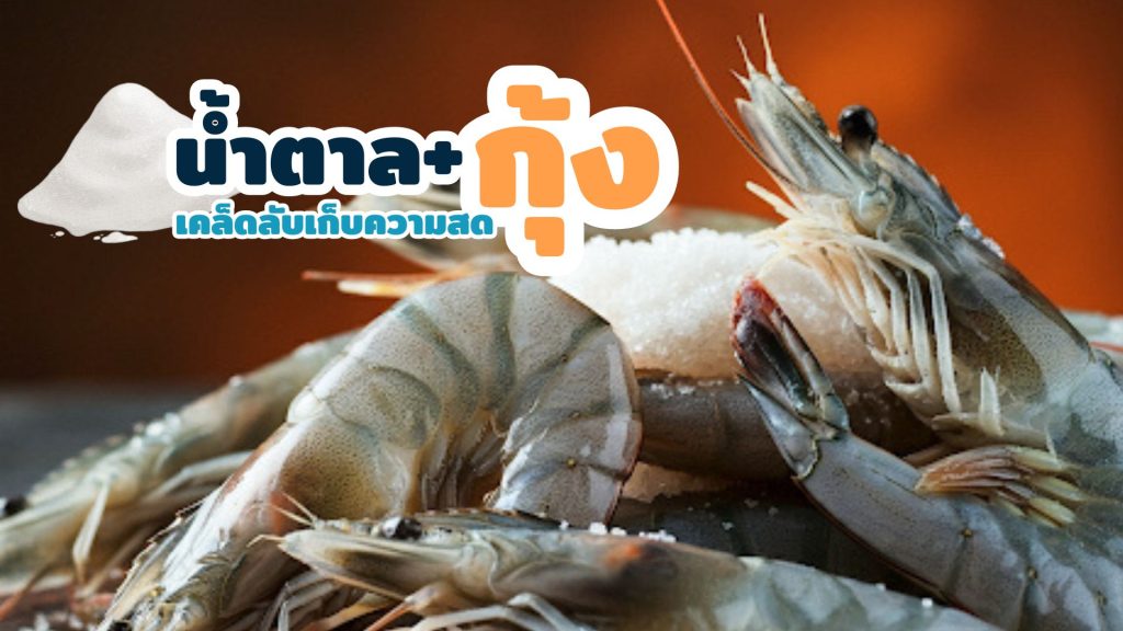 วิธีเก็บกุ้งสด