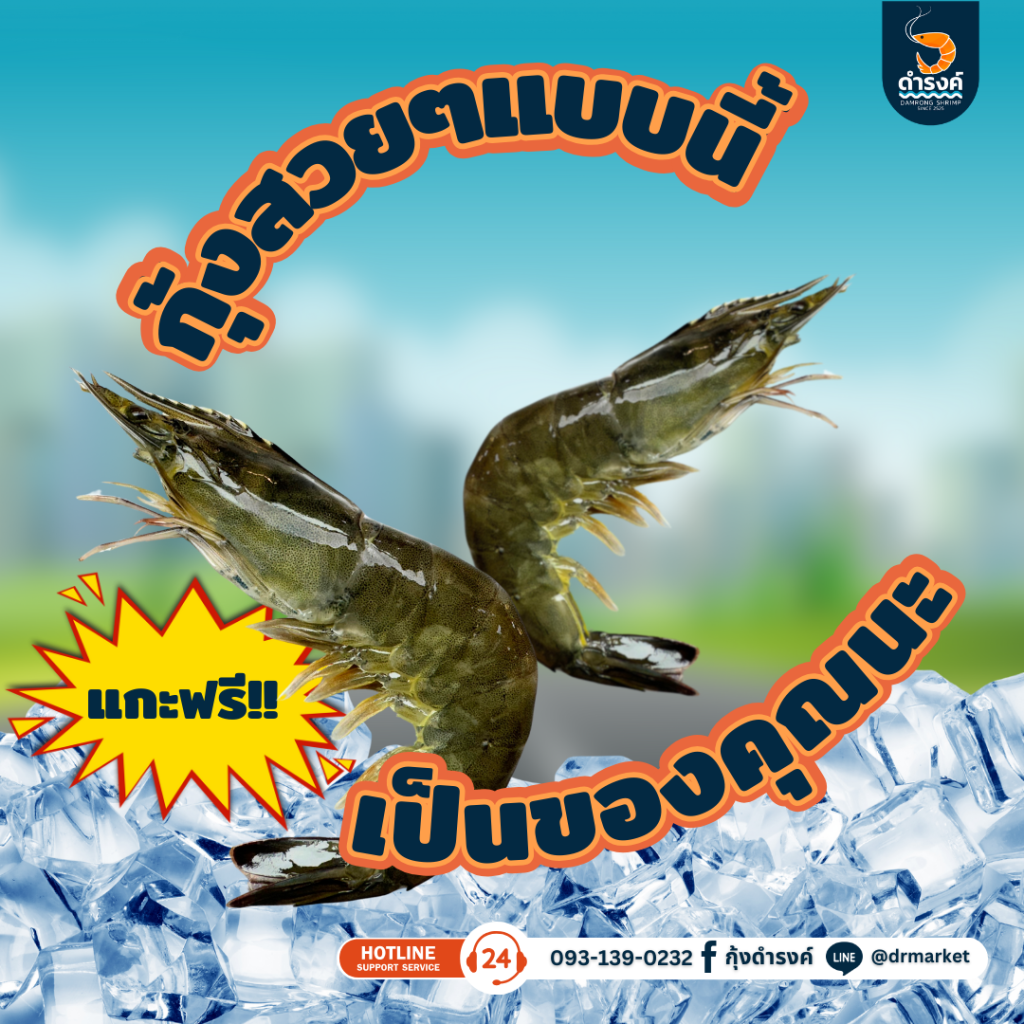 กุ้งสก กุ้งสด กุ้งแกะฟรี ที่กุ้งดำรงค์ ขายส่งกุ้งสด แกะฟรีไม่มีค่าบริการ